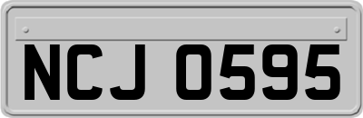 NCJ0595