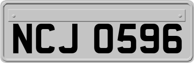 NCJ0596