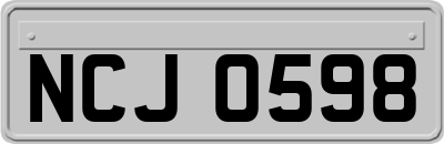 NCJ0598