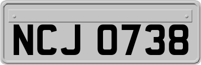 NCJ0738