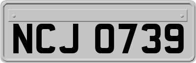 NCJ0739
