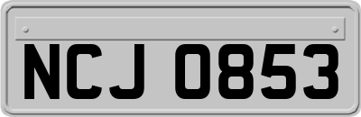 NCJ0853