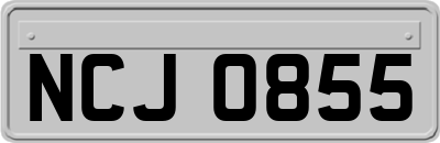 NCJ0855