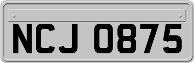 NCJ0875