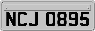 NCJ0895