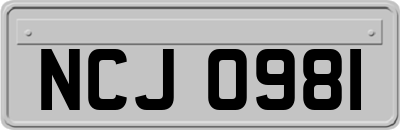 NCJ0981