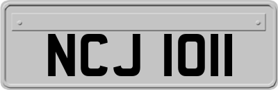 NCJ1011