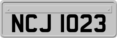 NCJ1023