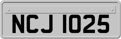 NCJ1025