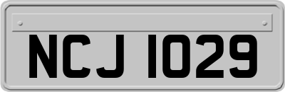 NCJ1029