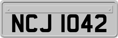 NCJ1042