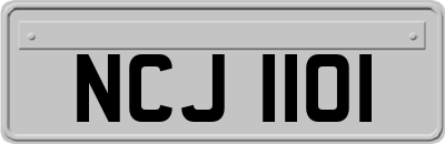 NCJ1101