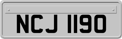 NCJ1190