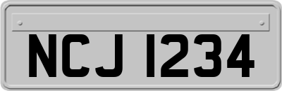 NCJ1234