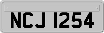 NCJ1254