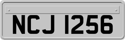 NCJ1256