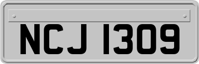 NCJ1309