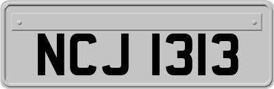 NCJ1313