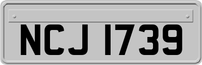NCJ1739
