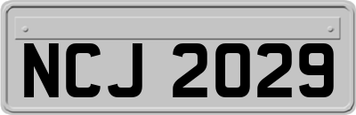NCJ2029
