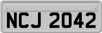 NCJ2042