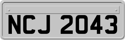 NCJ2043