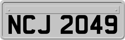 NCJ2049