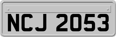 NCJ2053