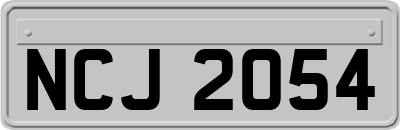 NCJ2054