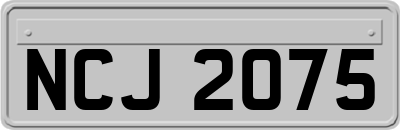 NCJ2075