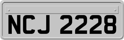 NCJ2228