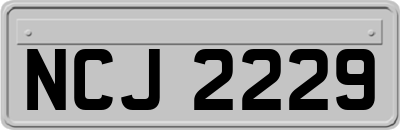 NCJ2229