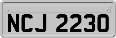 NCJ2230
