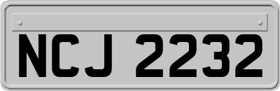 NCJ2232