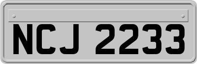 NCJ2233