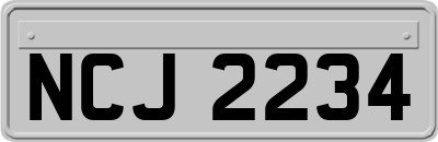 NCJ2234