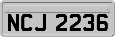 NCJ2236