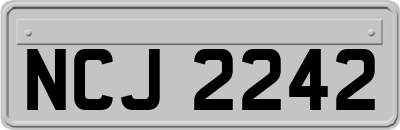 NCJ2242