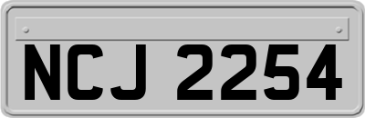 NCJ2254