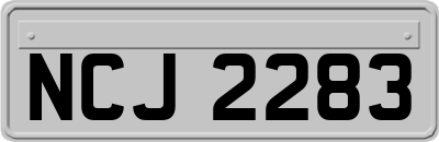 NCJ2283