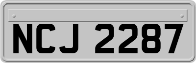 NCJ2287