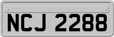 NCJ2288