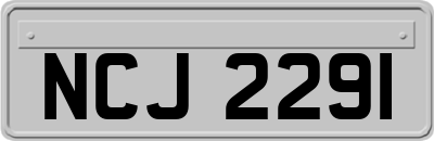 NCJ2291