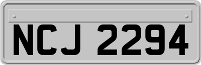 NCJ2294
