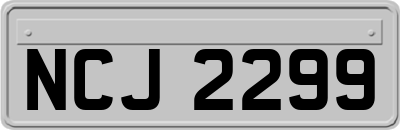 NCJ2299