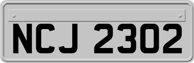 NCJ2302