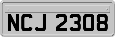 NCJ2308