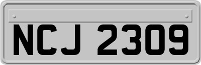 NCJ2309