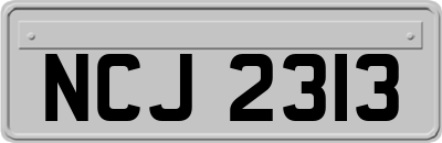NCJ2313