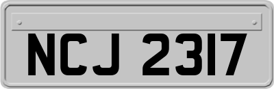 NCJ2317